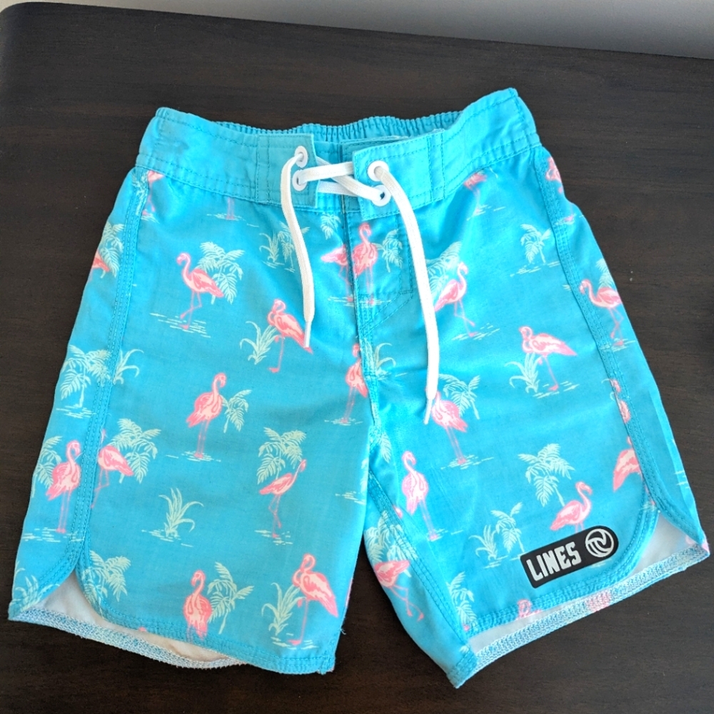 Boy Swim Trunks (Size 3T)